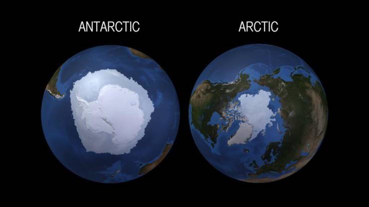 fun killer pics - arctic vs antarctic - Antarctic Arctic