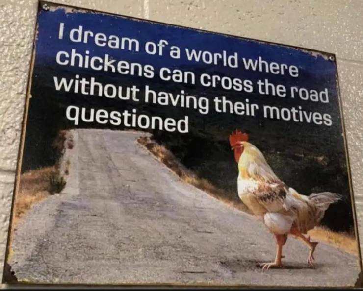 funny randoms - cool photos - fauna - I dream of a world where chickens can cross the road without having their motives questioned