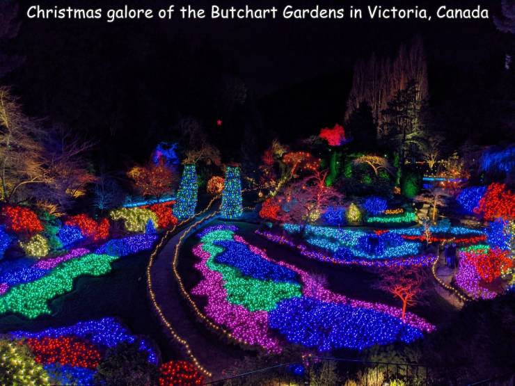 cool images, fun randoms - nature - Christmas galore of the Butchart Gardens in Victoria, Canada