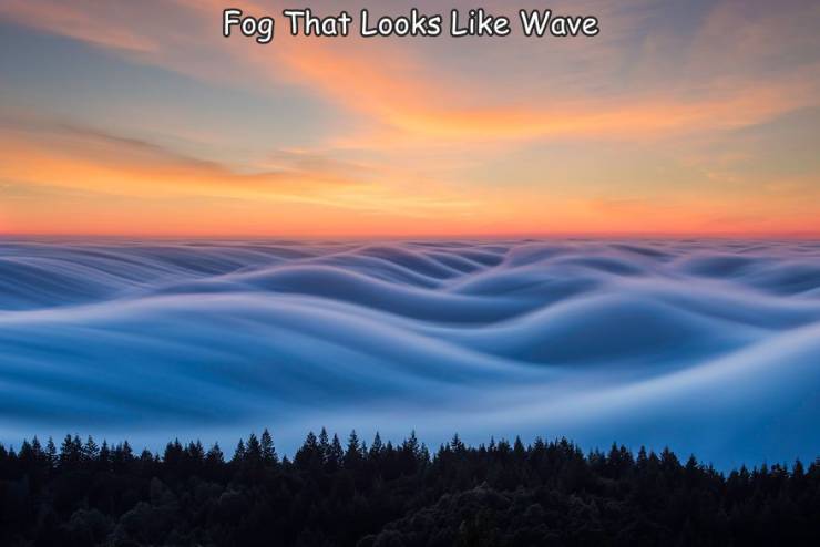 fun randoms - fog waves - Fog That Looks Wave