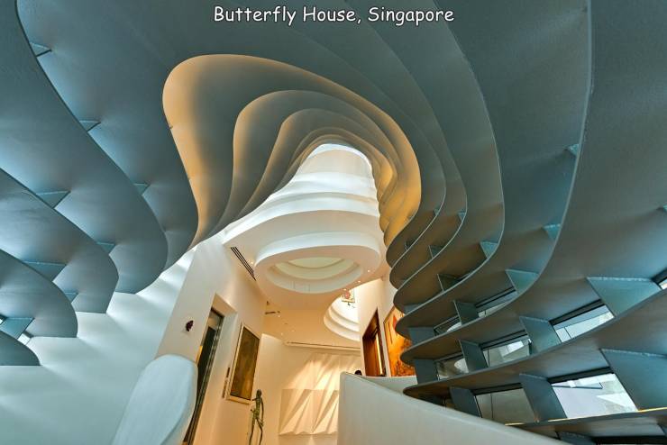 fun randoms - ceiling - Butterfly House, Singapore 20