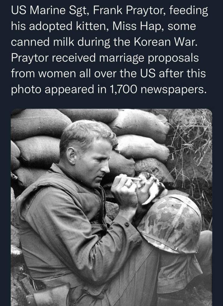 fun randoms - sporting club beach - Us Marine Sgt, Frank Praytor, feeding his adopted kitten, Miss Hap, some canned milk during the Korean War. Praytor received marriage proposals from women all over the Us after this photo appeared in 1,700 newspapers.