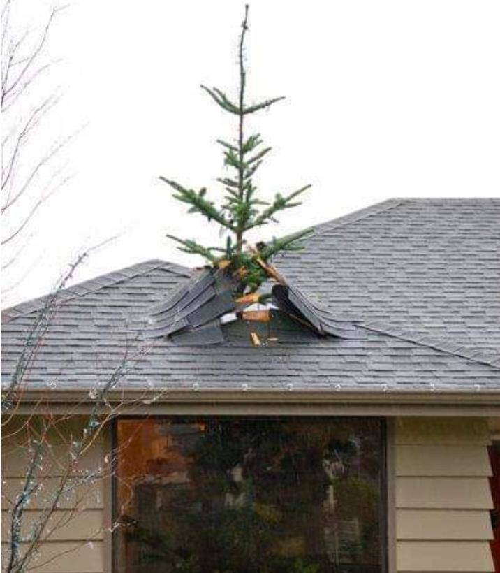 fun randoms - christmas tree through roof - Love