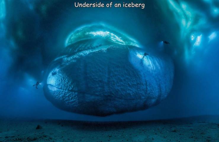 laurent ballesta iceberg - Underside of an iceberg