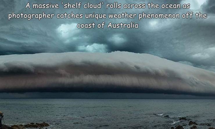 shelf cloud melbourne - A massive 'shelf cloud' rolls across the ocean as photographer catches unique weather phenomenon off the coast of Australia