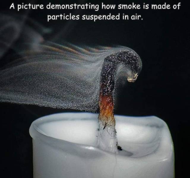 fun randoms - smoke particles up close - A picture demonstrating how smoke is made of particles suspended in air.