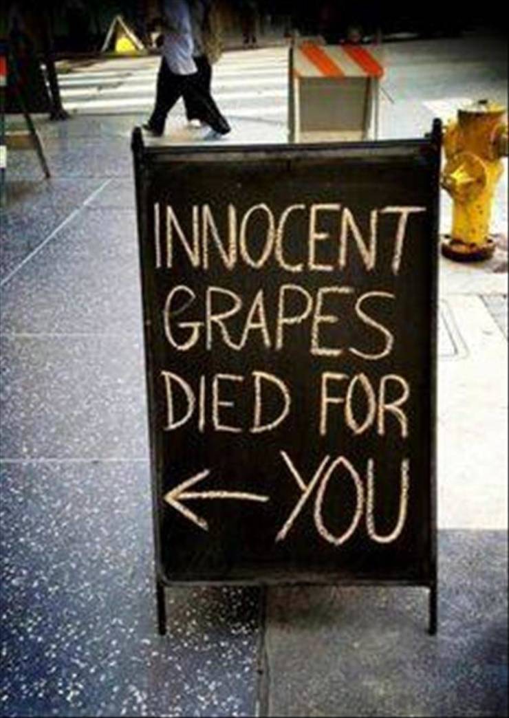 fun randoms - funny bar - Innocent Grapes Died For E You