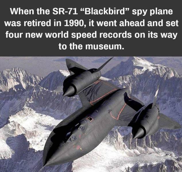 fun randoms - fighter jet plane posters - When the Sr71 Blackbird spy plane was retired in 1990, it went ahead and set four new world speed records on its way to the museum. M
