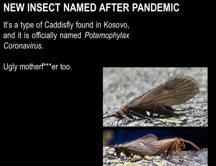 50 Randoms To Activate Your Laughter