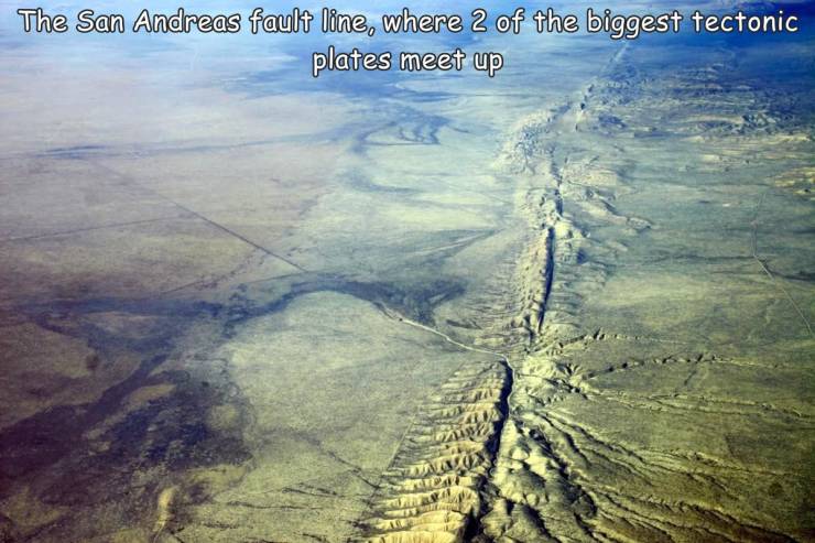 50 Randoms To Activate Your Laughter