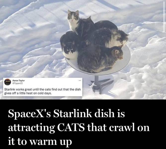 50 Randoms To Activate Your Laughter