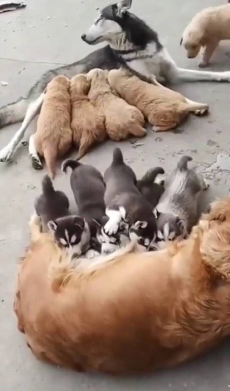 50 Randoms To Activate Your Laughter