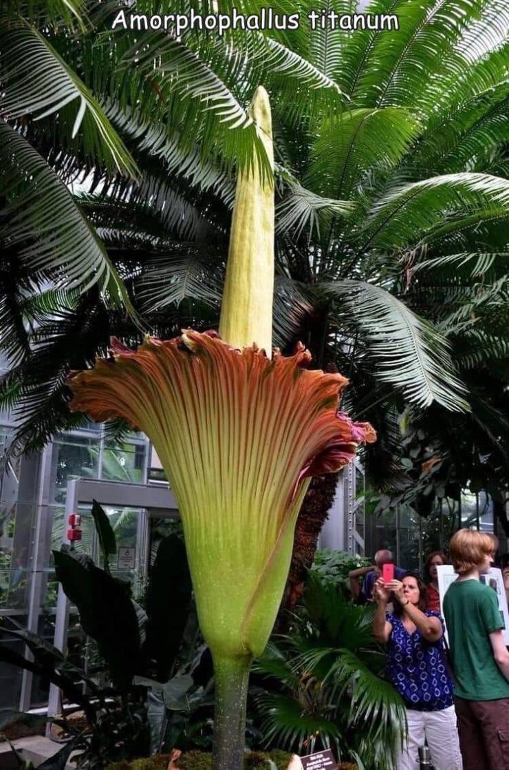 50 Randoms To Activate Your Laughter