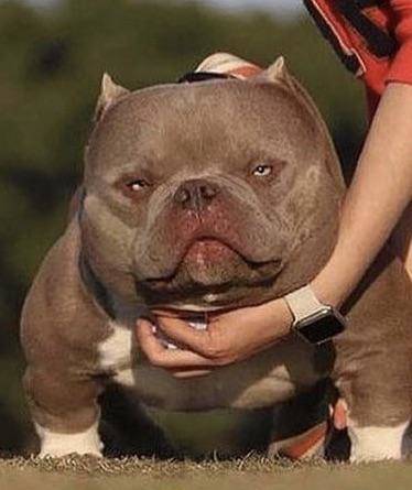 50 Randoms To Activate Your Laughter