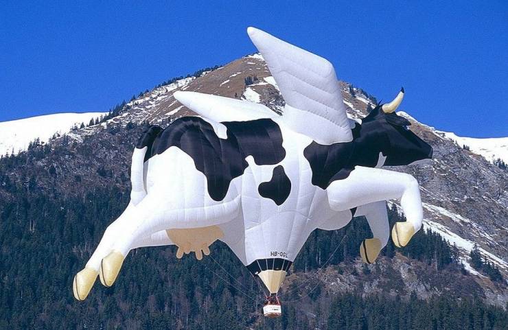 hb qgl swiss cow hot air balloon