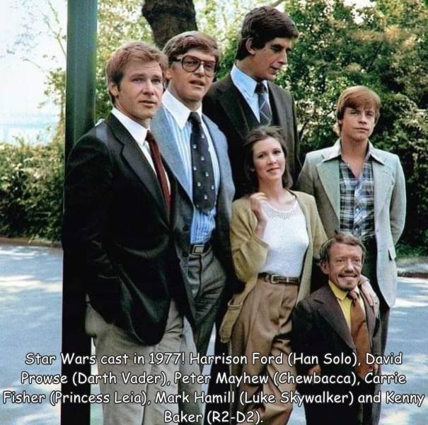 fun pics - cool images - star wars original cast - Star Wars cast in 1977. Harrison Ford Han Solo, David Prowse Darth Vader, Peter Mayhew Chewbacca, Carrie Fisher Princess Leia. Mark Hamill Luke Skywalker and Kenny Baker R2D2.