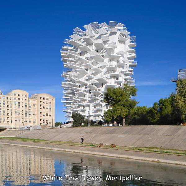 fun pics - cool images - Bebe White Tree Tower, Montpellier.