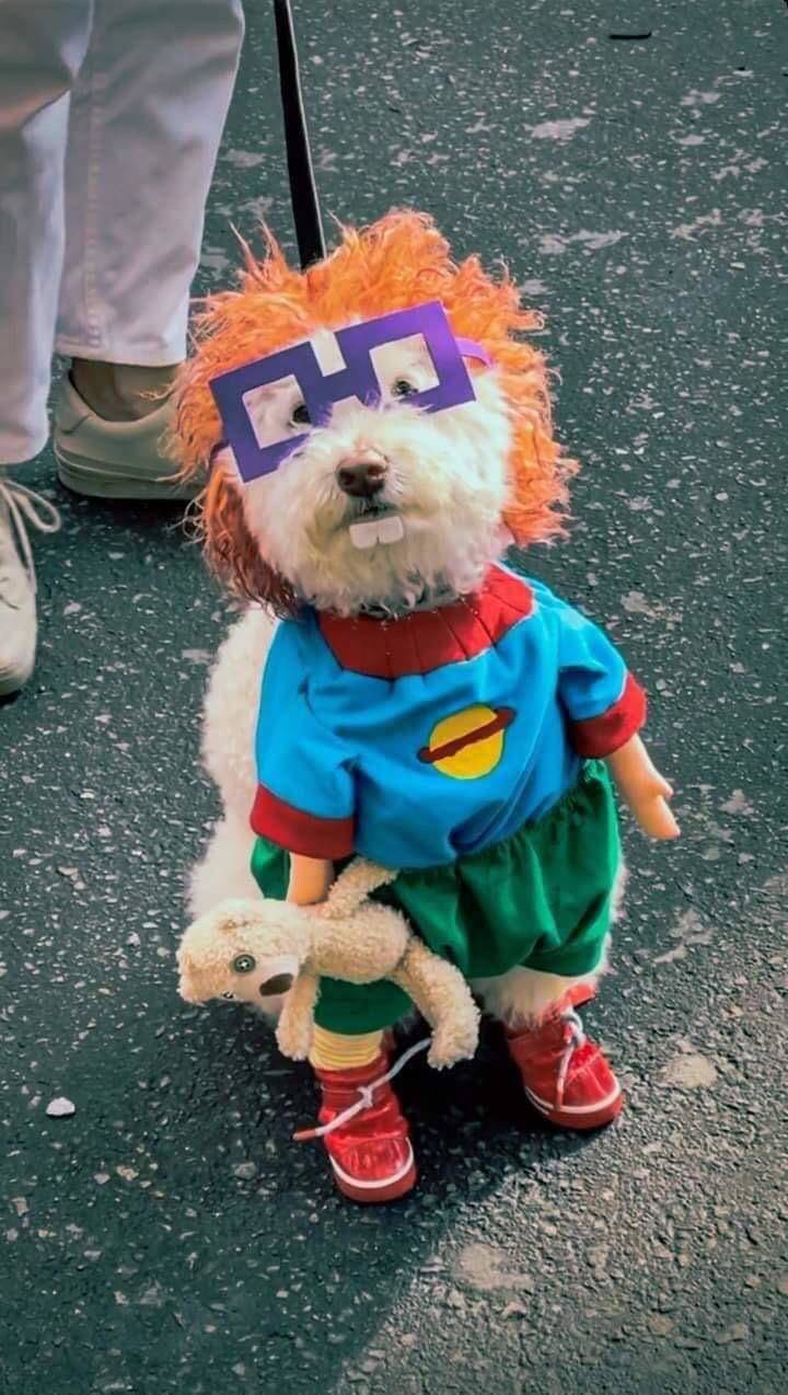 fun pics - cool images - chuckie from rugrats dog costume
