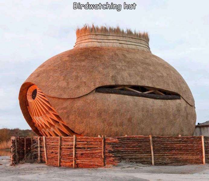 fun randoms - tij observatory by rau architects and ro&ad architects - Birdwatching hut
