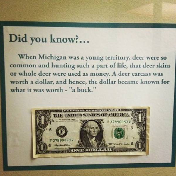 random pics - 1 us dollar - Did you know.... When Michigan was a young territory, deer were so common and hunting such a part of life, that deer skins or whole deer were used as money. A deer carcass was worth a dollar, and hence, the dollar became known 