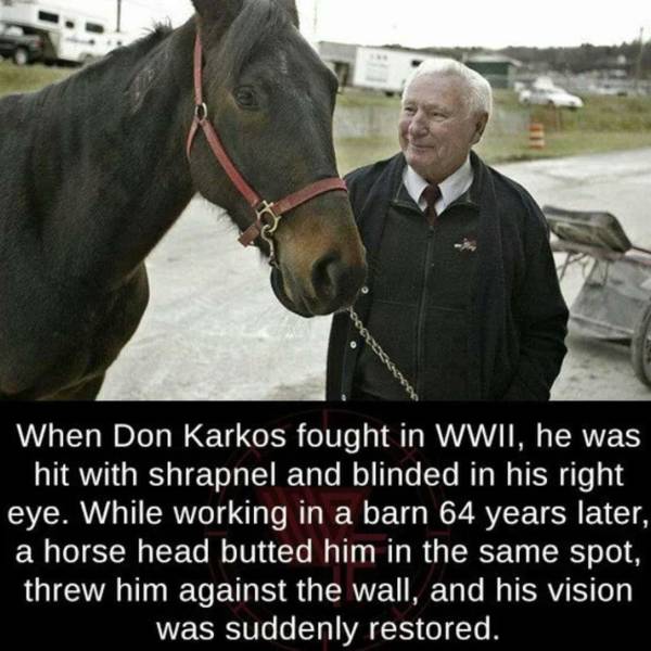 fun randoms - don karkos - When Don Karkos fought in Wwii, he was hit with shrapnel and blinded in his right eye. While working in a barn 64 years later, a horse head butted him in the same spot, threw him against the wall, and his vision was suddenly res