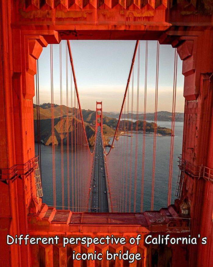 fun randoms - wood - Different perspective of California's iconic bridge
