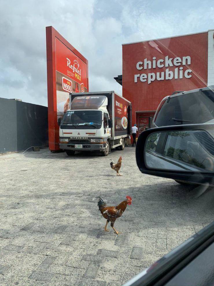 fun randoms - street - Refil chicken republic M Ver Metode