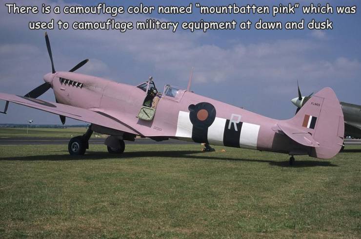 fun randoms - pink camouflage ww2 - There is a camouflage color named "mountbatten pink" which was used to camouflage military equipment at dawn and dusk Les