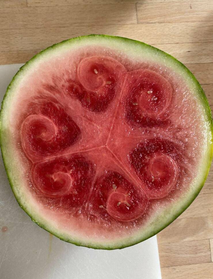 fun randoms - watermelon