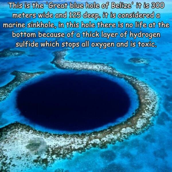 fun randoms - blue hole in belize - This is the Great blue hole of Belize it is 300 meters wide and 125 deep. it is considered a marine sinkhole, in this hole there is no life at the bottom because of a thick layer of hydrogen a sulfide which stops all ox