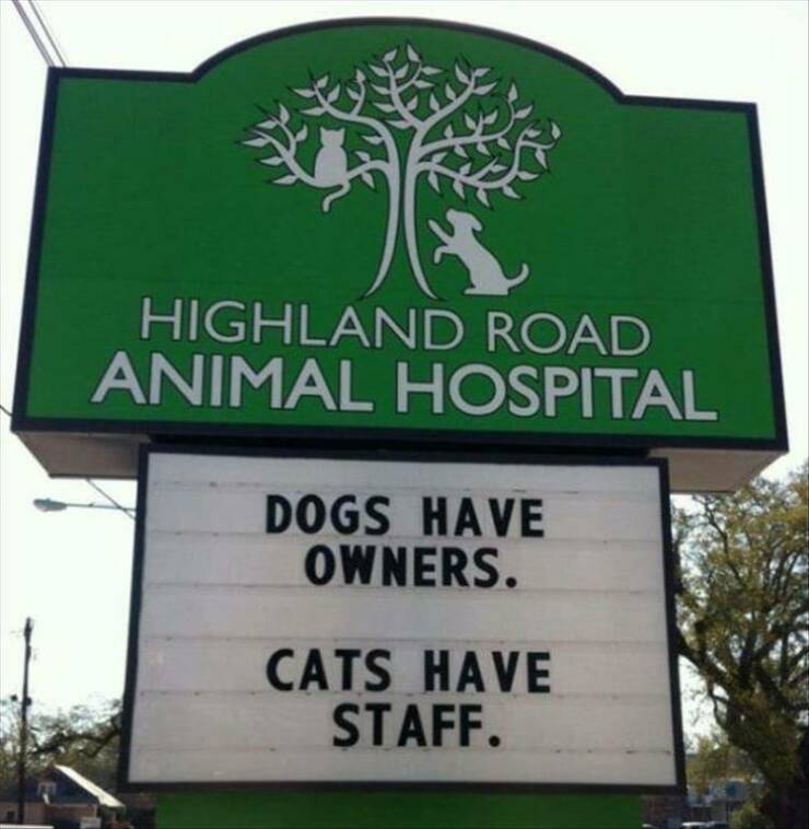fun randoms - marathon cafe - Highland Road Animal Hospital Dogs Have Owners. Cats Have Staff.
