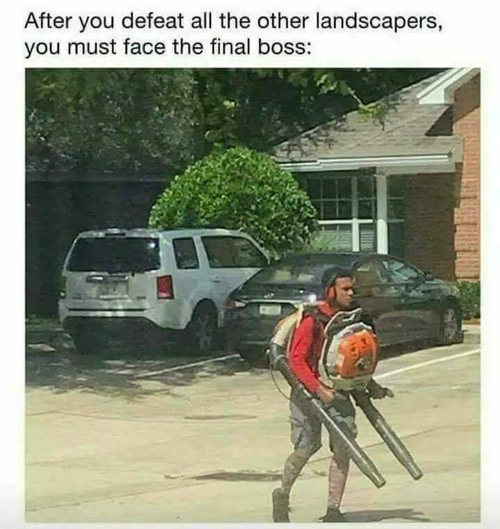 fun randoms - landscape memes - After you defeat all the other landscapers, you must face the final boss