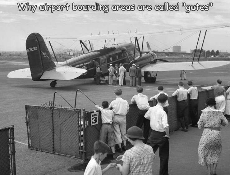 fun randoms - american airlines 1930 - Why airport boarding areas are called "gates" lut NC12399 Merican Airlines Gate 3