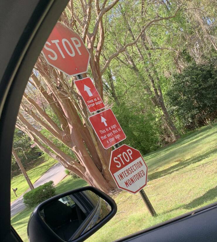 fun randoms - grass - Stopy This Is A Stop Sign This is a sign that says this is a stop sign Stop Intersection Monitored