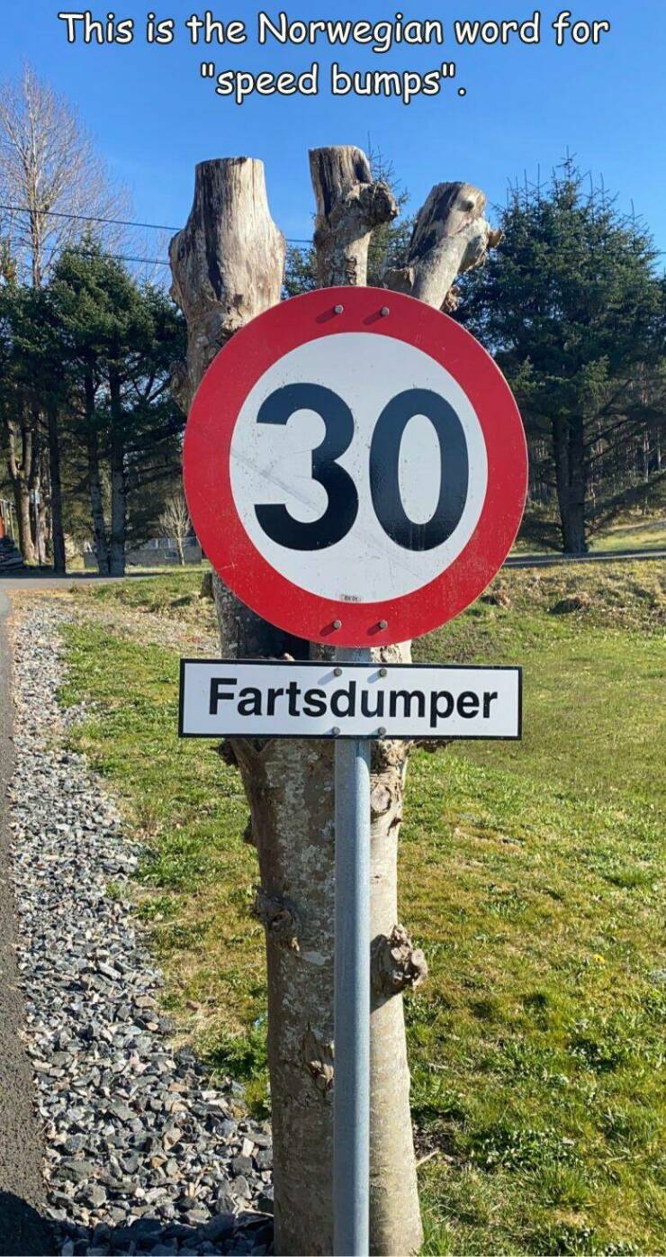 fun randoms - traffic sign - This is the Norwegian word for