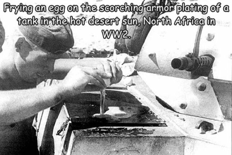 fun randoms - funny photos - frying eggs on tank - Frying an egg on the scorching armor plating of a tank in the hot desert sun, North Africa in WW2..
