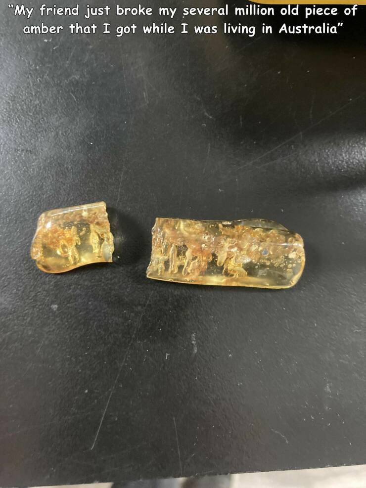 fun randoms - funny photos - metal - "My friend just broke my several million old piece of amber that I got while I was living in Australia"