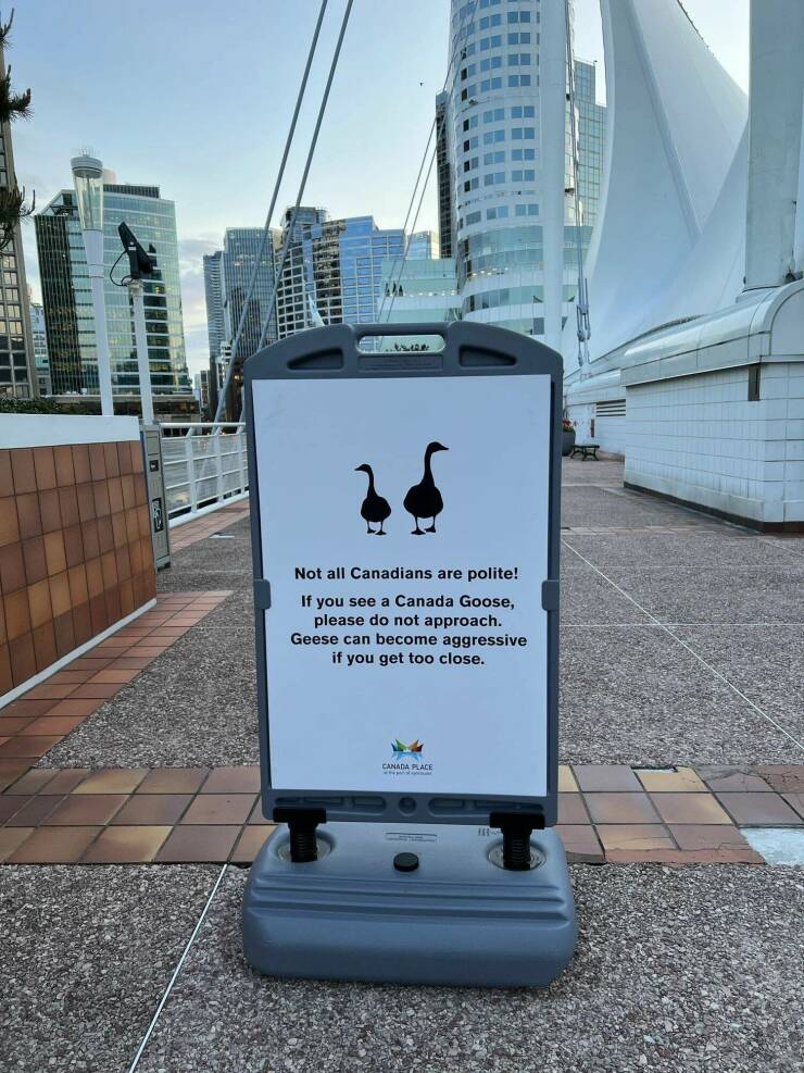 fun randoms - funny photos - poster - For Not all Canadians are polite! If you see a Canada Goose, please do not approach. Geese can become aggressive if you get too close. Canada Place