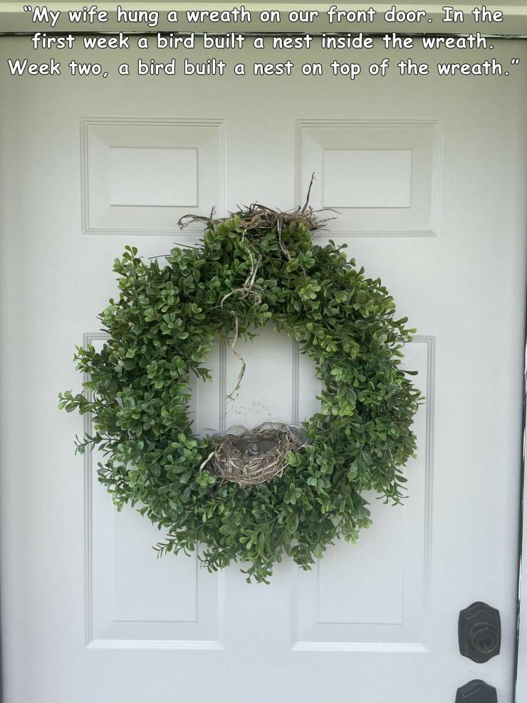 fun randoms - funny photos - wreath - "My wife hung a wreath on our front door. In the first week a bird built a nest inside the wreath. Week two, a bird built a nest on top of the wreath."