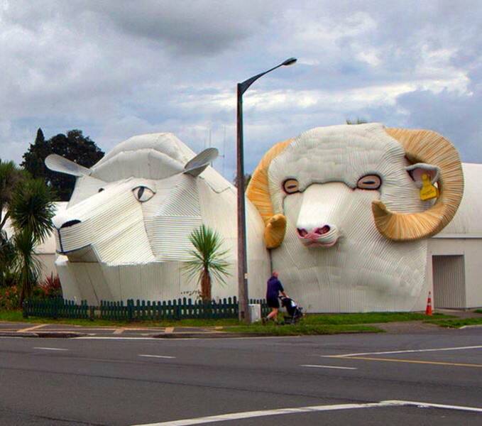 fun randoms - funny photos - animal shaped building