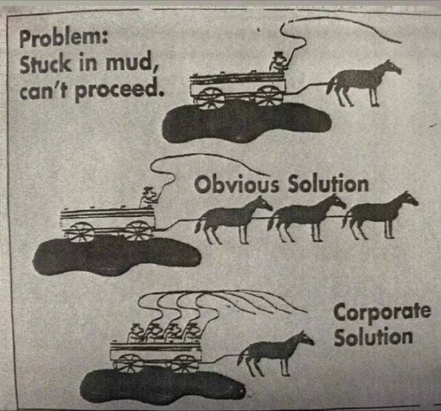 fun randoms - funny photos - fauna - Problem Stuck in mud, can't proceed. Obvious Solution Corporate Solution