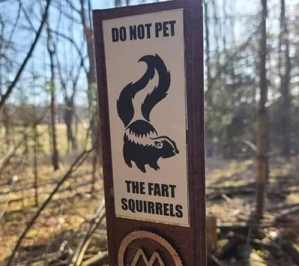 fun randoms - funny photos - Do Not Pet The Fart Squirrels M