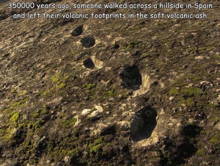 fun randoms - funny photos - devils trail italy - 350000 years ago, someone walked across a hillside in Spain and left their volcanic footprints in the soft volcanic ash