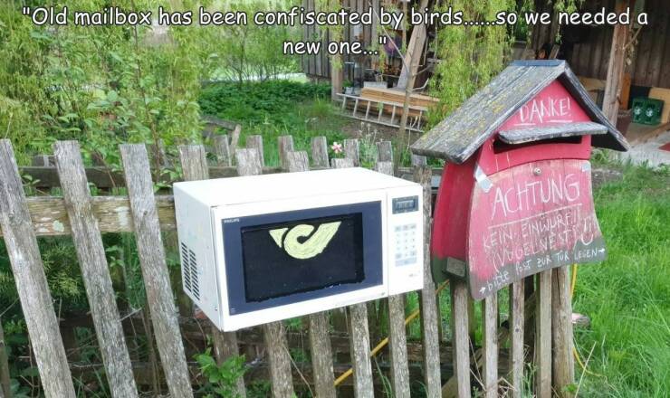 fun randoms - funny photos - grass - "Old mailbox has been confiscated by birds......So we needed a new one..." Danke Achtung Kein Einwurfi Voelnesti bitte zur TuK Leen