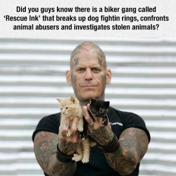 fun randoms - funny photos - biker gang that rescues animals - Did you guys know there is a biker gang called 'Rescue Ink' that breaks up dog fightin rings, confronts animal abusers and investigates stolen animals?