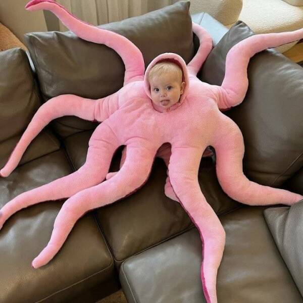 cool random pics - baby octopus costume