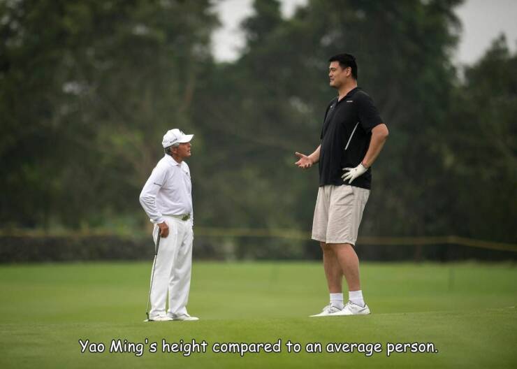 fun randoms - yao ming gary player - Yao Ming's height compared to an average person.