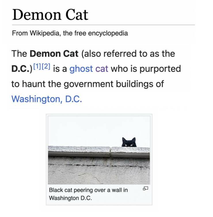 fun randoms - document - Demon Cat From Wikipedia, the free encyclopedia The Demon Cat also referred to as the D.C. 12 is a ghost cat who is purported to haunt the government buildings of Washington, D.C. Black cat peering over a wall in Washington D.C. 8
