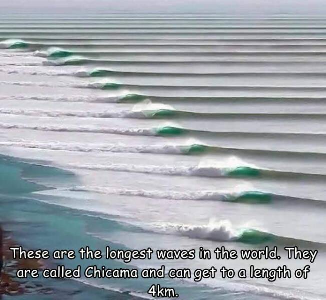 fun randoms - funny photos - chicama peru wave - These are the longest waves in the world. They are called Chicama and can get to a length of 4km.