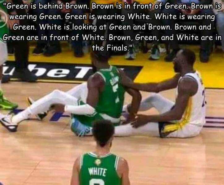 fun randoms - funny photos - Thain - "Green is behind Brown. Brown is in front of Green. Brown is wearing Green. Green is wearing White. White is wearing Green. White is looking at Green and Brown. Brown and Green are in front of White. Brown, Green, and 